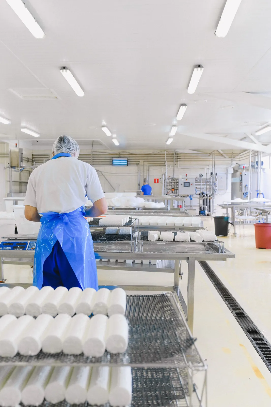 Hala produkcji żywności — zdjęcie poglądowe, docelowo materiał własny z Wąsosza Dolnego
